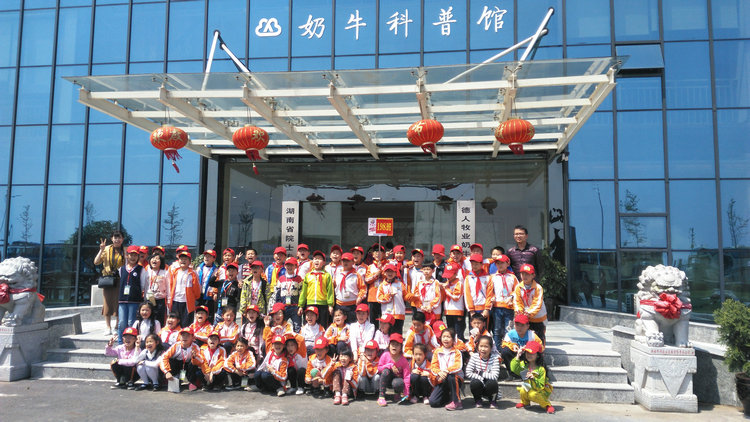  游客活動照片